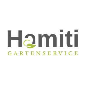 hamiti logo color